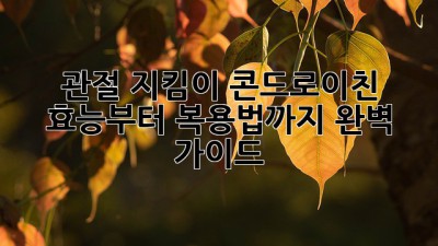 관절 지킴이💪 콘드로이친 효능부터 복용법까지💯 완벽 가이드