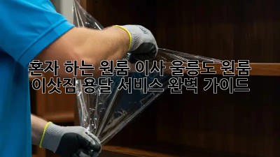 혼자 하는 원룸 이사? 울릉도 원룸 이삿짐 용달 서비스 완벽 가이드!