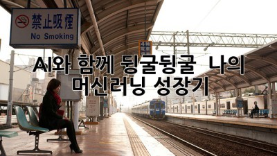 AI와 함께 뒹굴뒹굴 🤖 나의 머신러닝 성장기 ✨